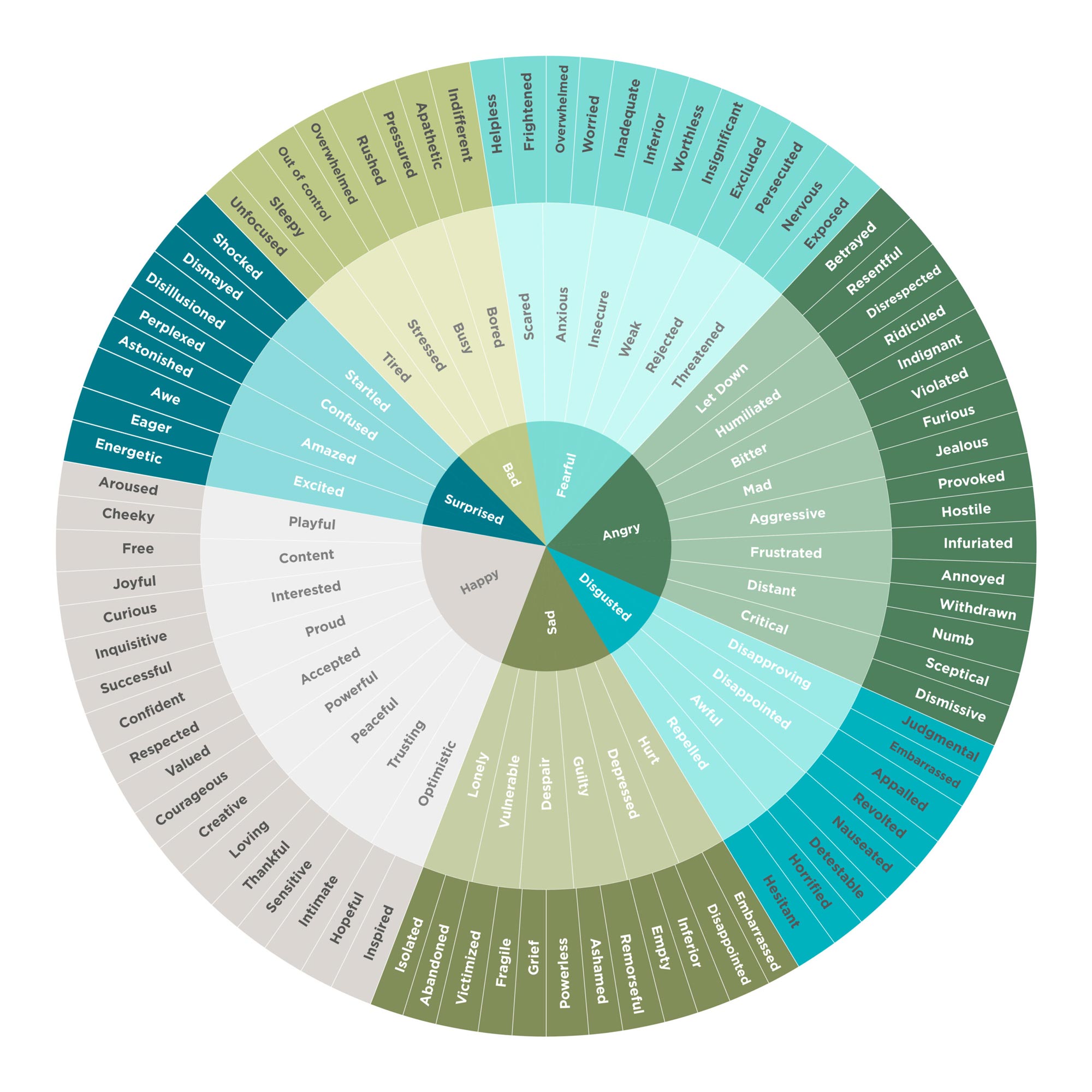 566-017_EmotionsWheel-01-1-scaled