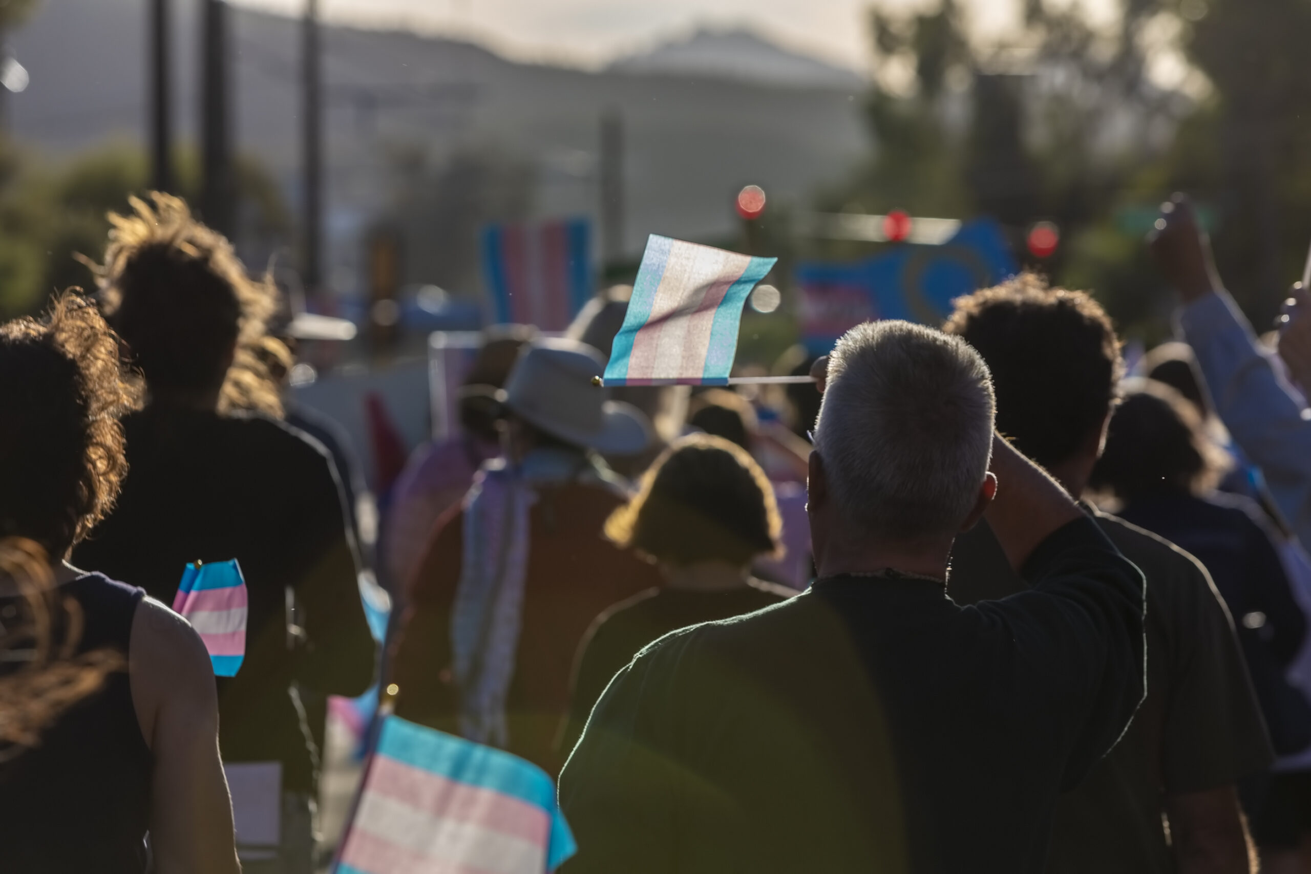 Marchers waving Trans Support flags at a visibility rally